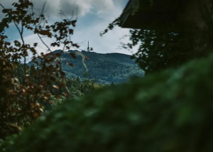 Bed & Breakfast Maria Szczyrk